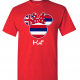 Hawaii American Flag Disney Family T-shirt