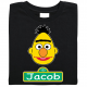 Sesame Street Family Custom T-shirts