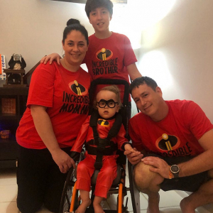 The Incredibles Family 